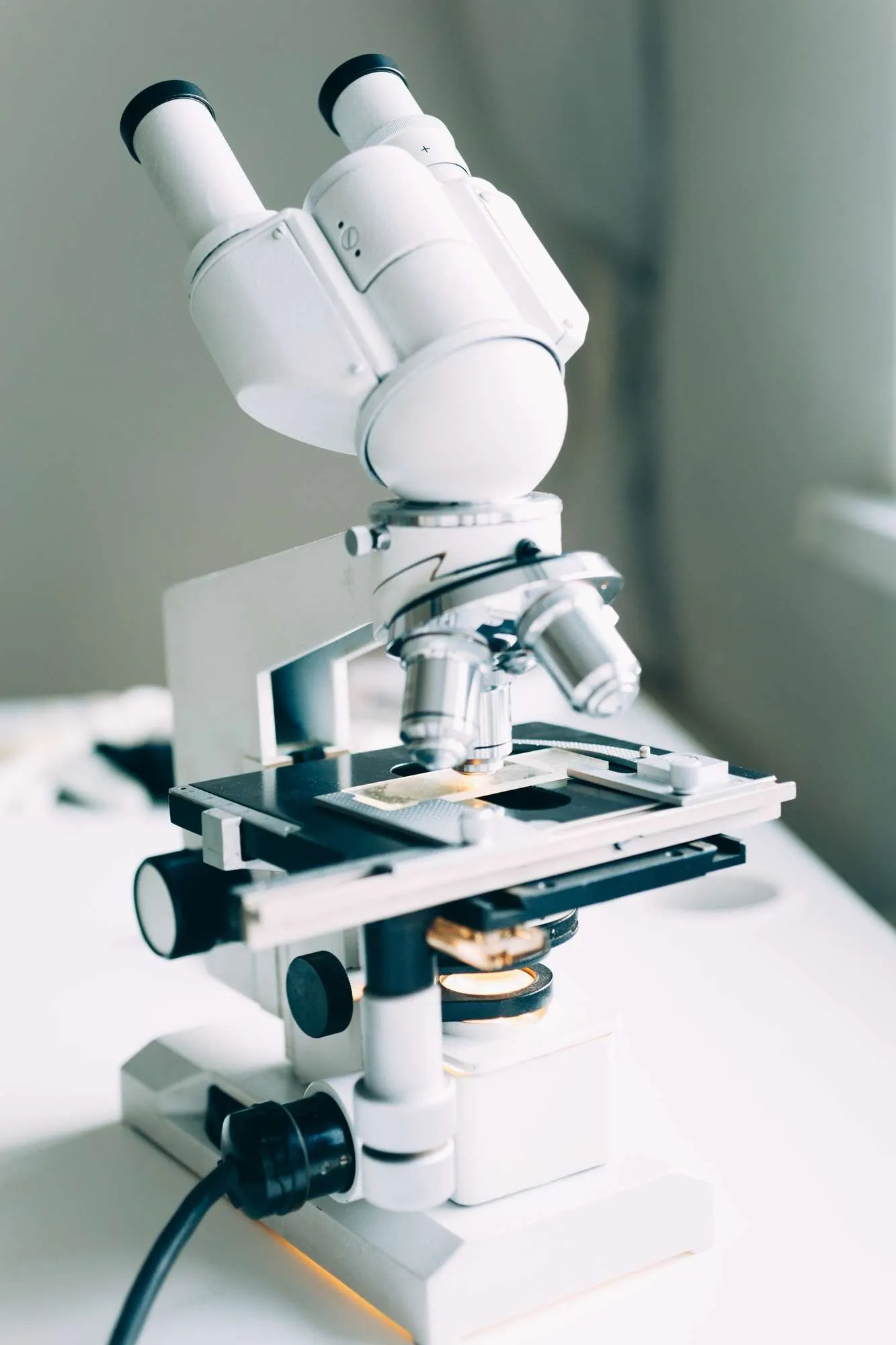 Microscope in Laboratory